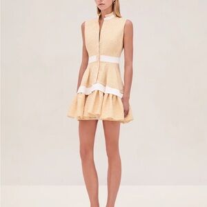 Alexis Tan and White Mini Dress